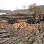 Chêne en Grume – Camion de 50 Stères – Bois de Chauffage Idéal