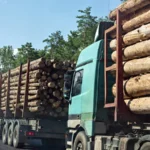Frêne en Grume – Camion de 50 Stères – Bois de Chauffage Idéal